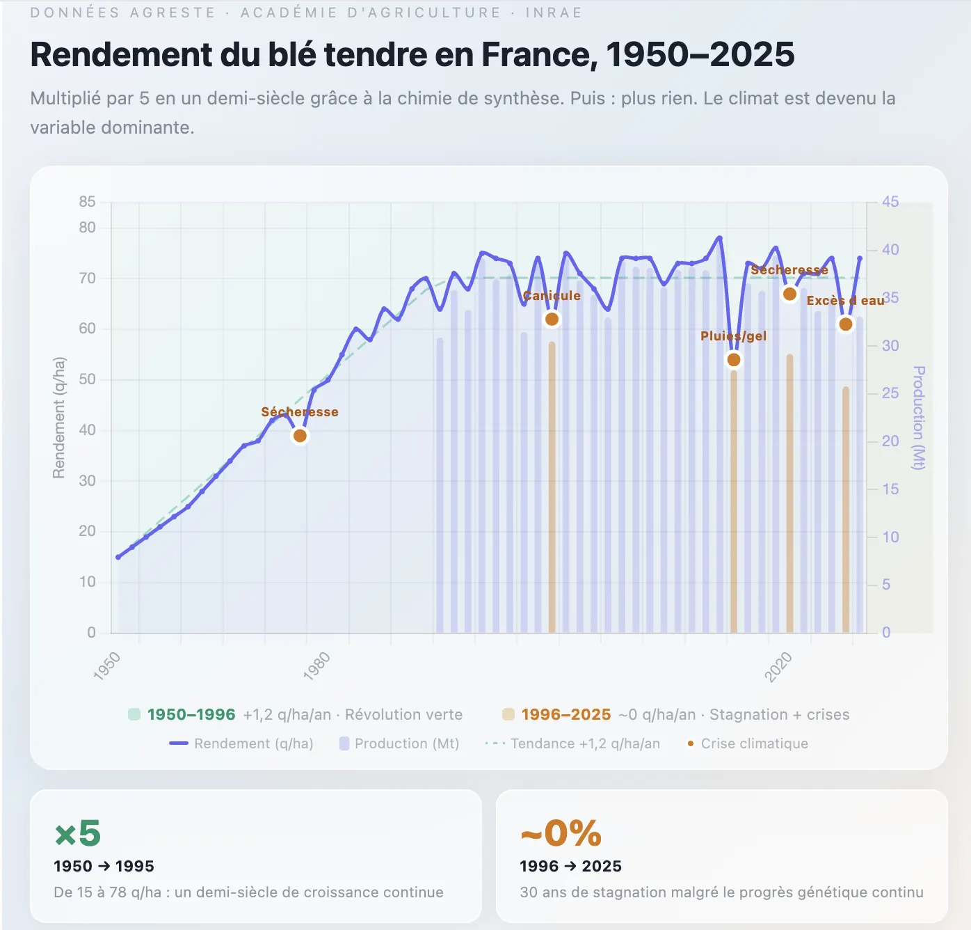 Graphique « Rendement du blé tendre en France, 1950-2025 » : le rendement passe de 15 à 78 quintaux par hectare jusqu'en 1995, puis stagne autour de 70 depuis 1996, avec des chutes marquées lors des sécheresses, de la canicule, des pluies et du gel.