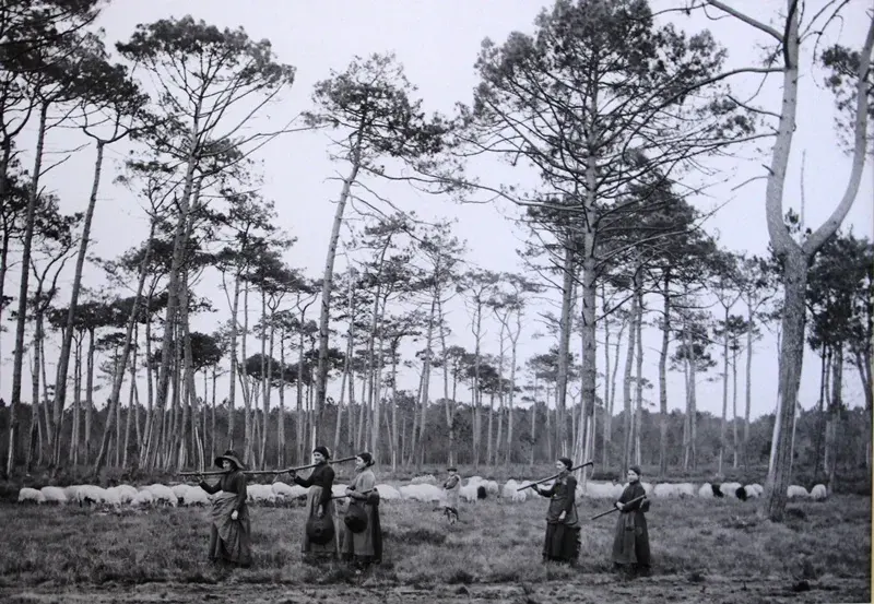 Photo de Félix Arnaudin (1844-1921)