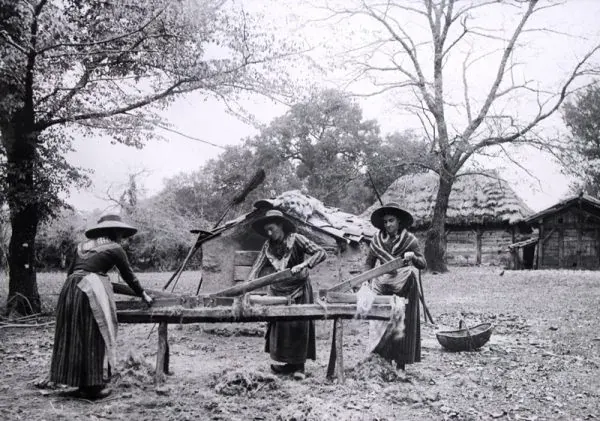 Photographie ancienne en noir et blanc : trois femmes en chapeau et longue jupe travaillent sur un chevalet de bois, devant des cabanes au toit de chaume, sur une lande clairsemée d'arbres.
