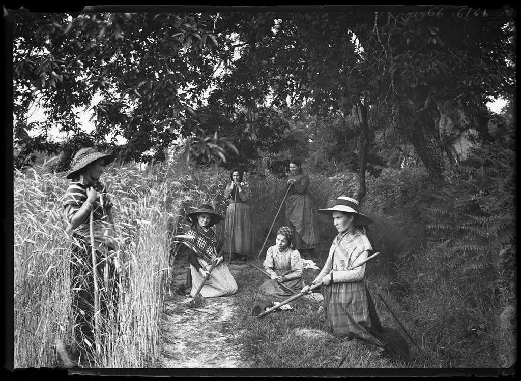 Photographie ancienne en noir et blanc : sept femmes en chapeau et tablier, faucilles et râteaux à la main, posent dans un champ de céréales à l'orée d'un bois.