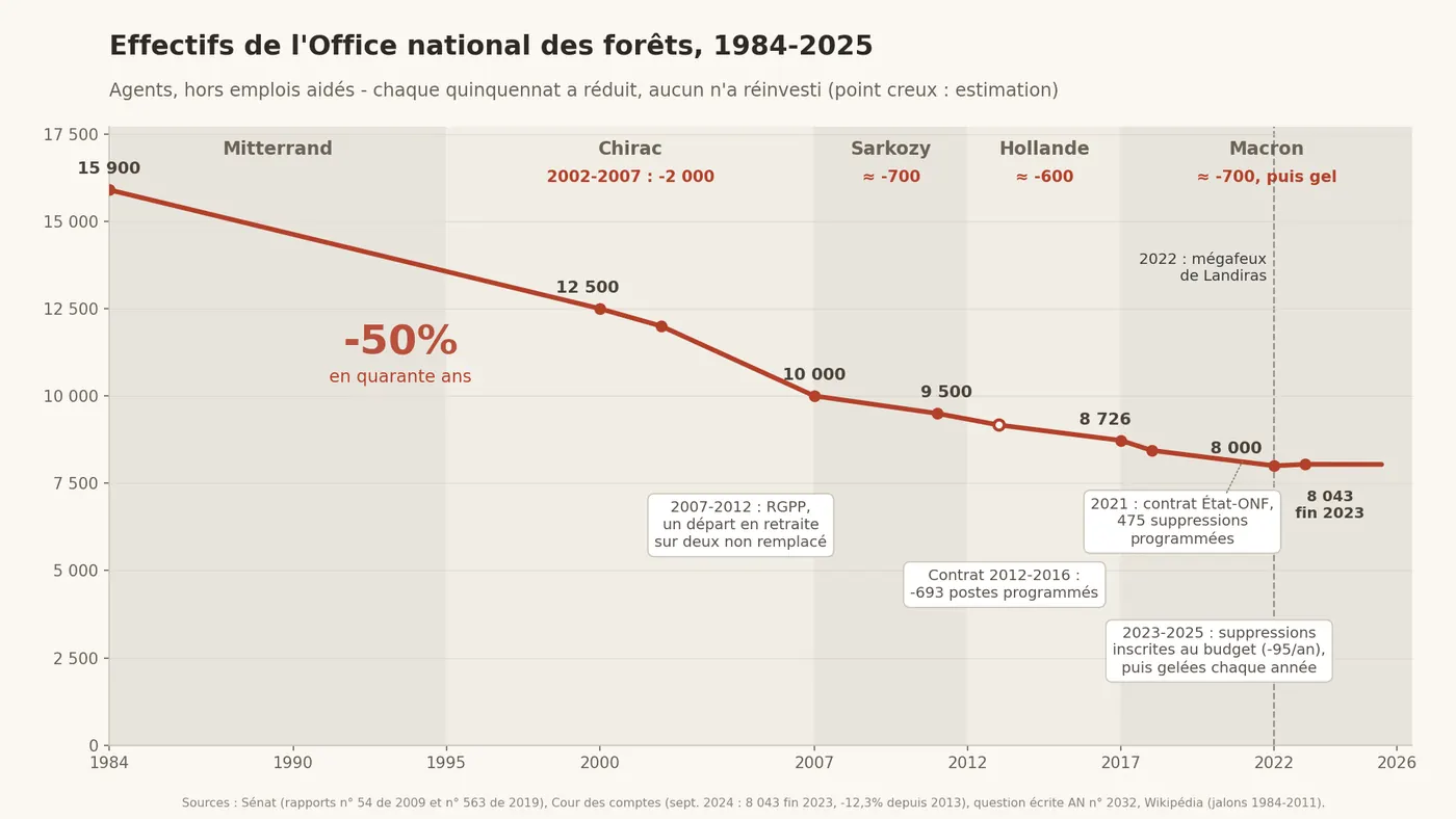 Courbe des effectifs de l'Office national des forêts de 1984 à 2025 : de 15 900 agents à environ 8 000, soit une baisse de 50 % en quarante ans, chaque quinquennat ayant réduit les postes, avec un gel depuis 2023.