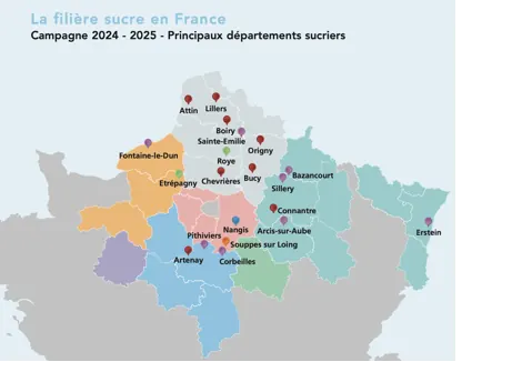 Carte « La filière sucre en France », campagne 2024-2025 : les principaux départements sucriers, du Nord au Bassin parisien et à la Champagne, avec les sucreries comme Attin, Lillers, Roye, Nangis, Pithiviers ou Erstein.