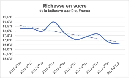 Courbe de la richesse en sucre de la betterave française, de 2015-2016 à 2024-2025 : un pic à 19 °S en 2018-2019, puis une tendance à la baisse jusqu'à environ 16,6 °S.